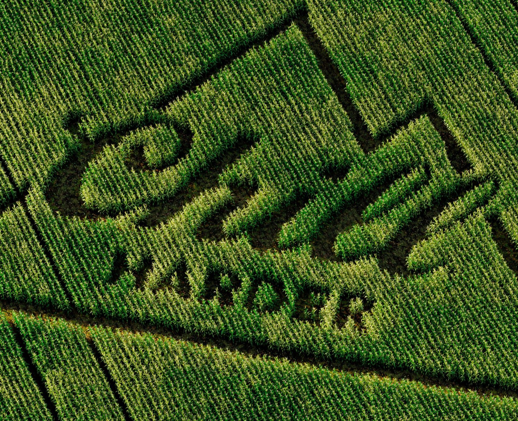 Coors – Chill Harder Coors - Chill Harder