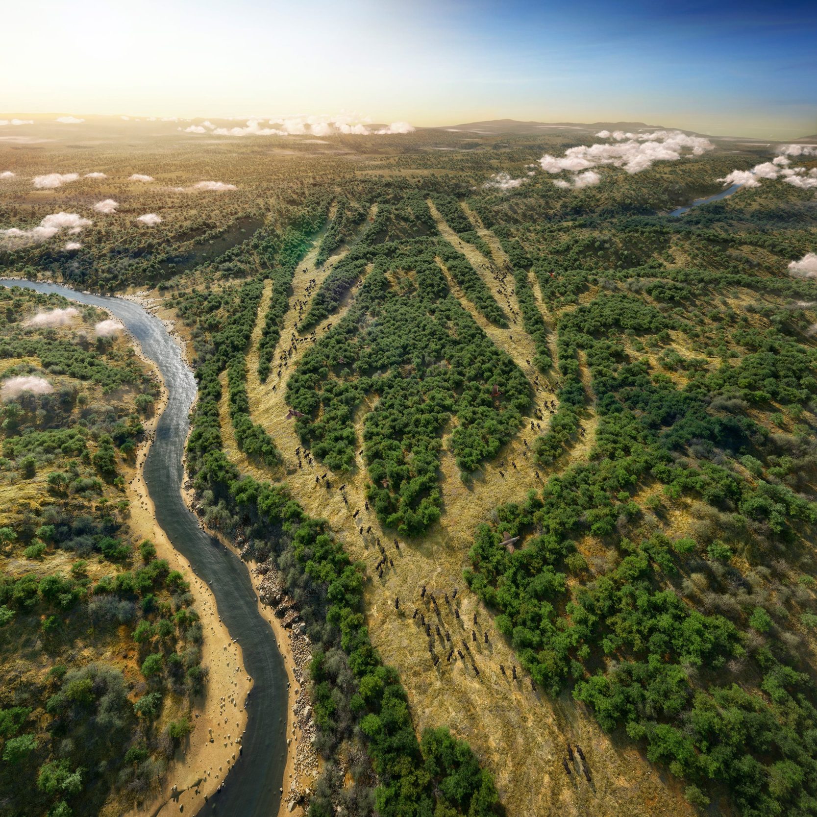 DOW – Sendero DOW - Sendero