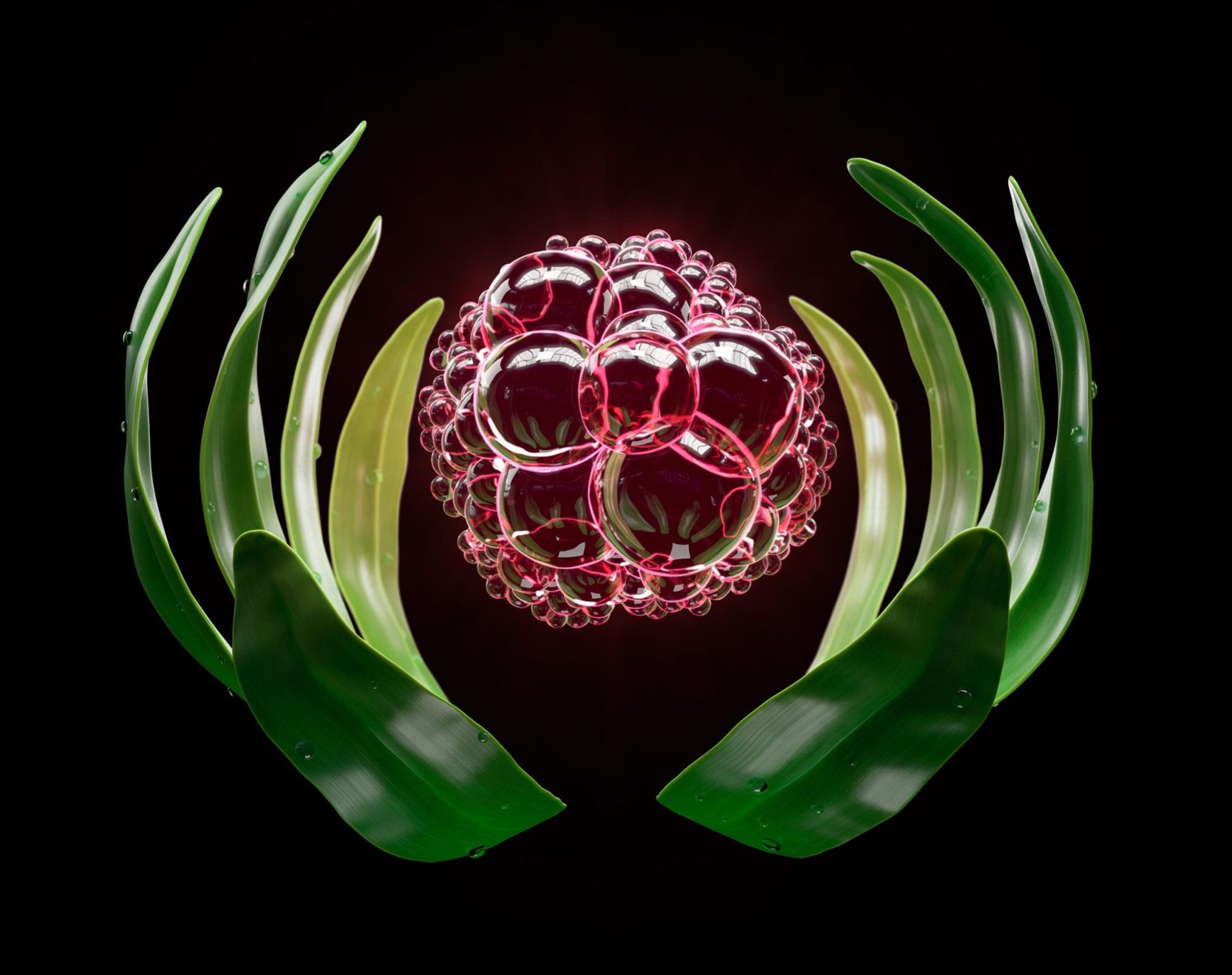 Lallemand – Hands Lallemand - Hands